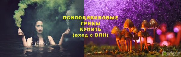 крисы Киренск
