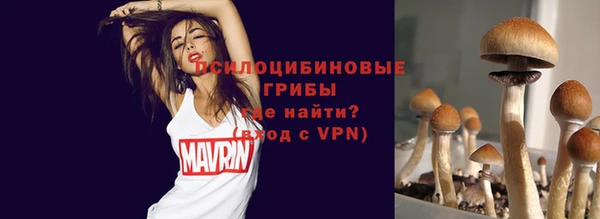 соль ск Касимов