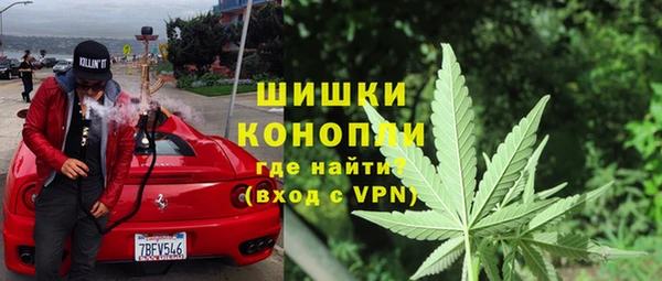 винт Карпинск