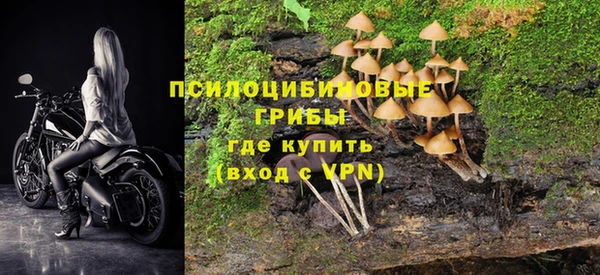соль ск Касимов