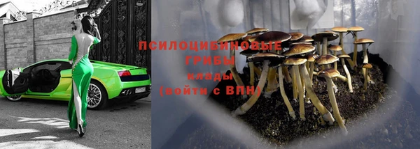 мяу мяу мука Карталы